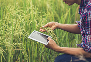 empresas del rubro Agroindustria automatizan su gestión con el ERP de Softland